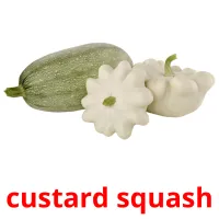 custard squash Tarjetas didacticas