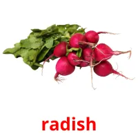 radish Tarjetas didacticas