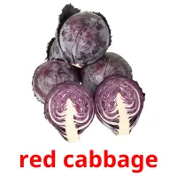 red cabbage Tarjetas didacticas