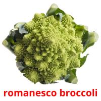 romanesco broccoli Tarjetas didacticas