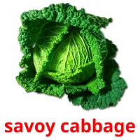 savoy cabbage Tarjetas didacticas