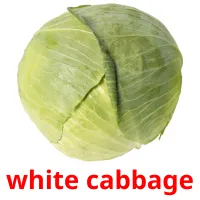 white cabbage Tarjetas didacticas