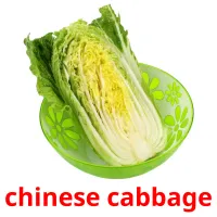 сhinese cabbage Tarjetas didacticas