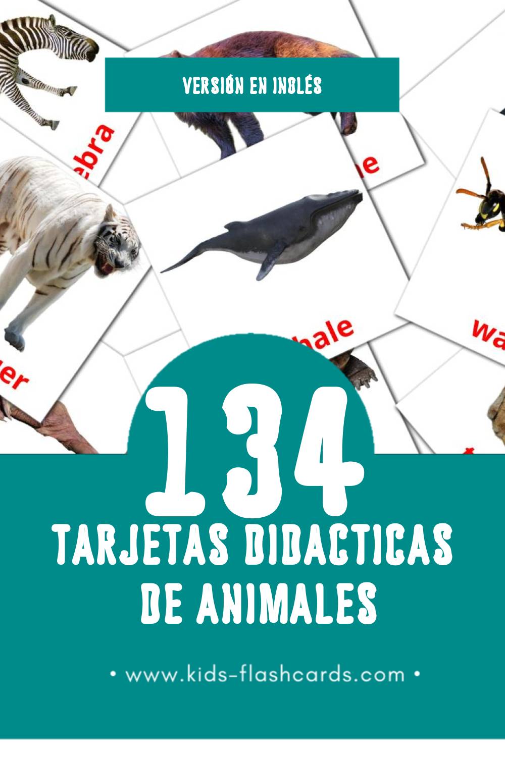 Tarjetas visuales de Animals para niños pequeños (134 tarjetas en Inglés)