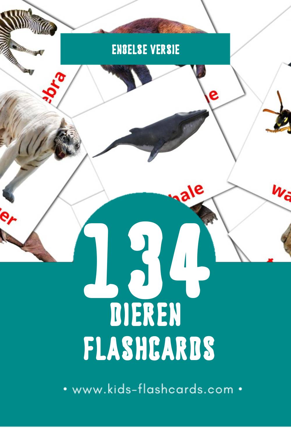Visuele Animals Flashcards voor Kleuters (134 kaarten in het Engels)