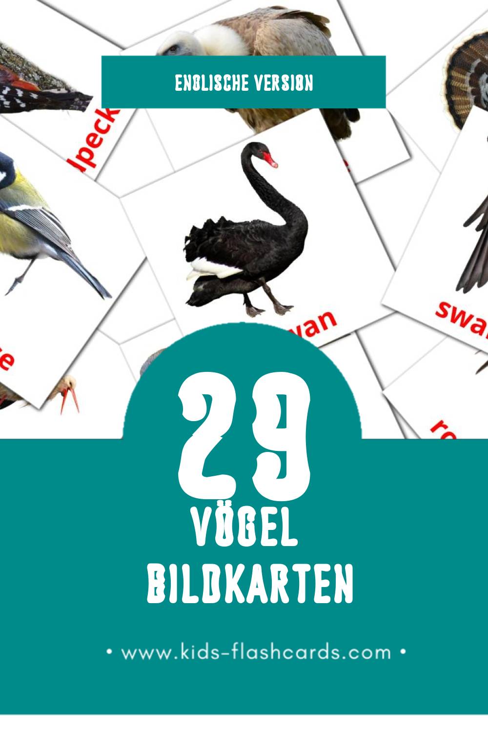 Visual Birds Flashcards für Kleinkinder (29 Karten in Englisch)