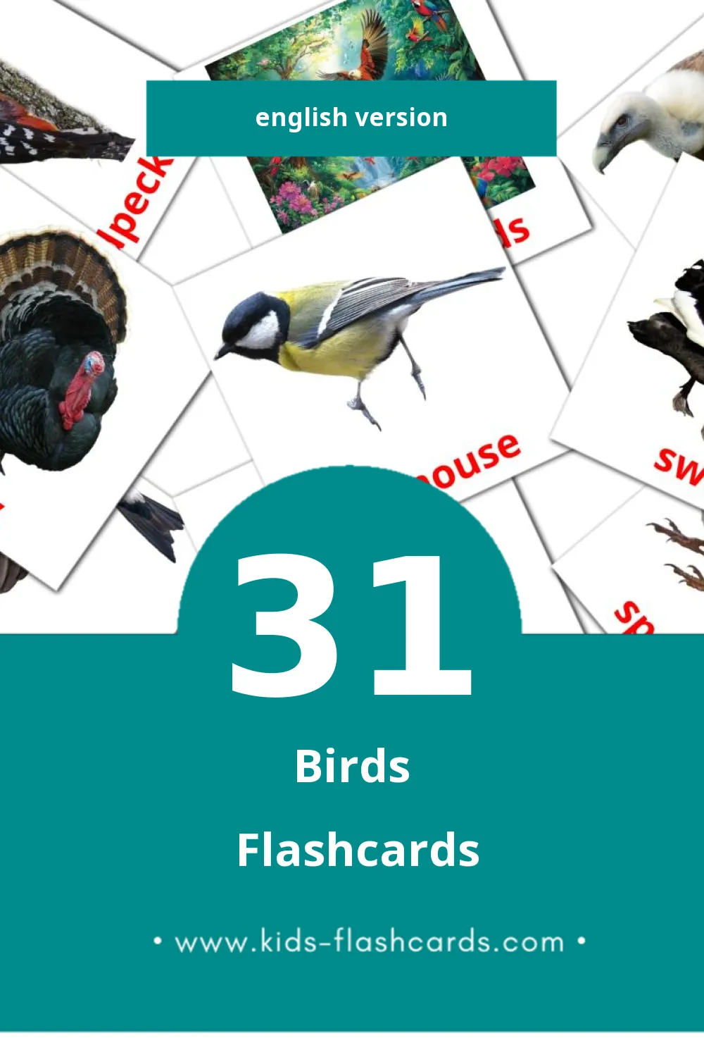 Visual Birds Flashcards for Toddlers (31 cards in English)