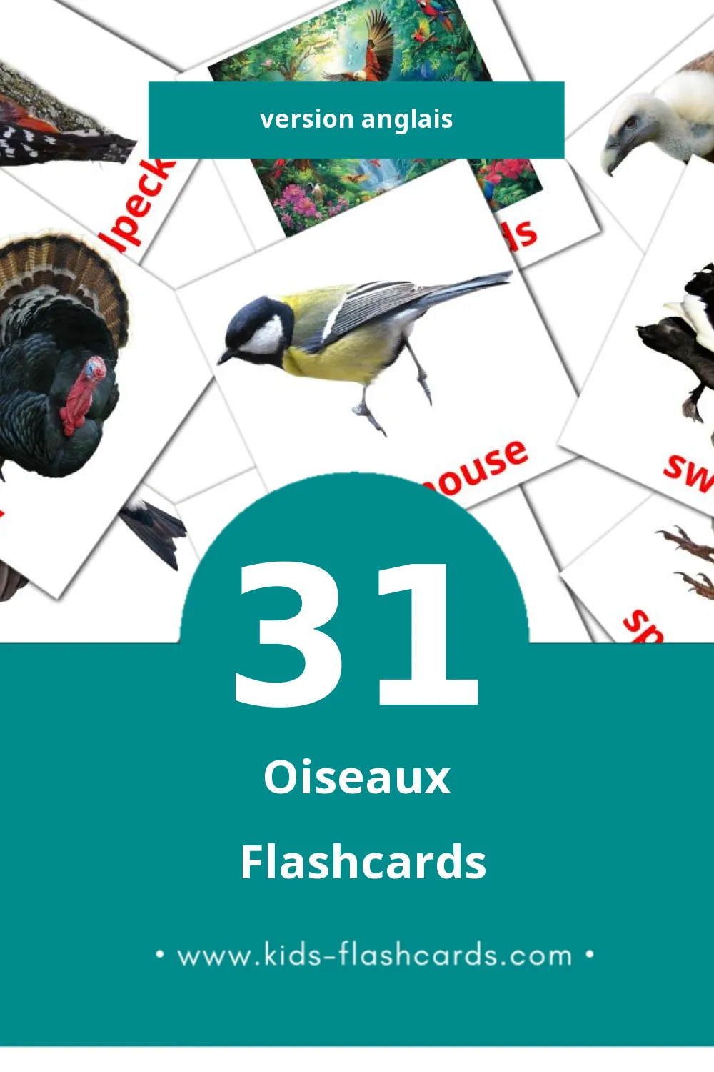 Flashcards Visual Birds pour les tout-petits (31 cartes en Anglais)