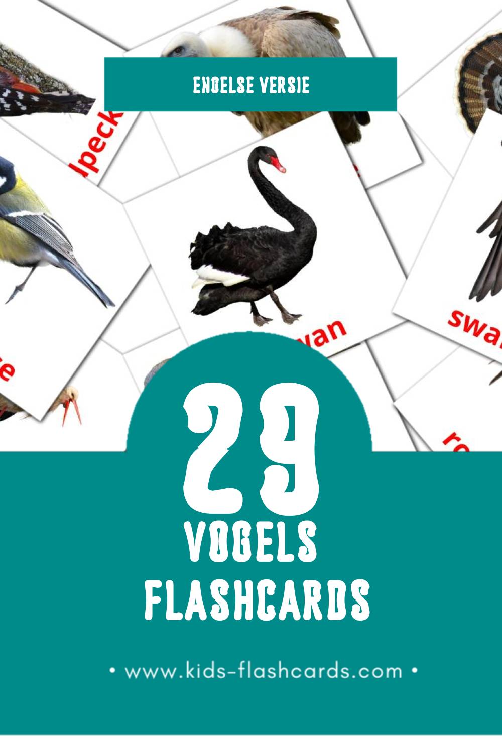 Visuele Birds Flashcards voor Kleuters (29 kaarten in het Engels)