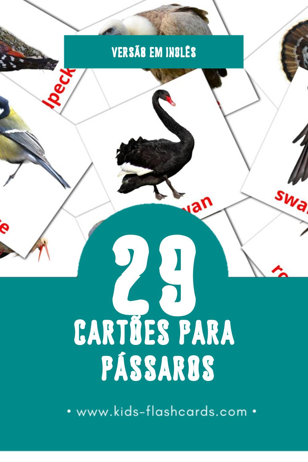 Flashcards de Birds Visuais para Toddlers (29 cartões em Inglês)