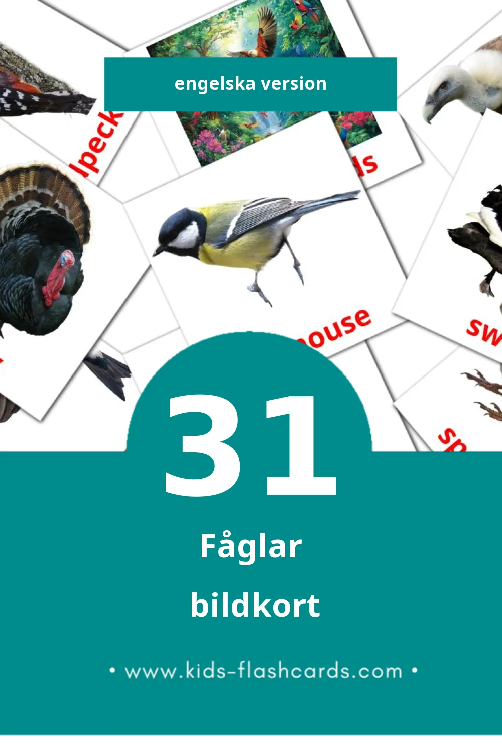Visuella Birds för småbarn (31 bildkort för barn på Engelska)