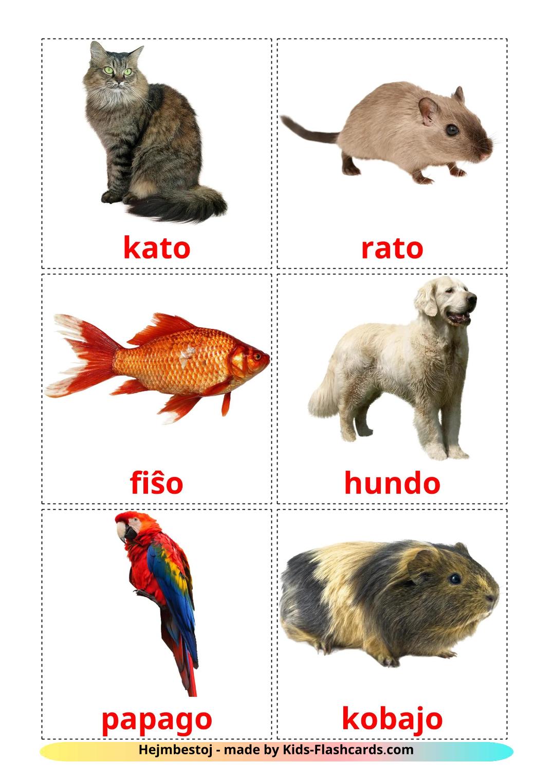 Les animaux Domestiques - 11 fichas de espéranto para imprimir gratis 