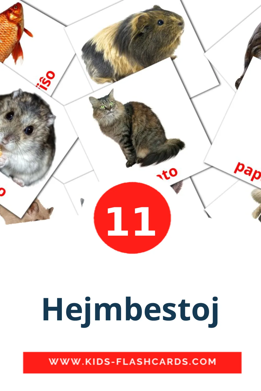 11 tarjetas didacticas de Hejmbestoj para el jardín de infancia en espéranto