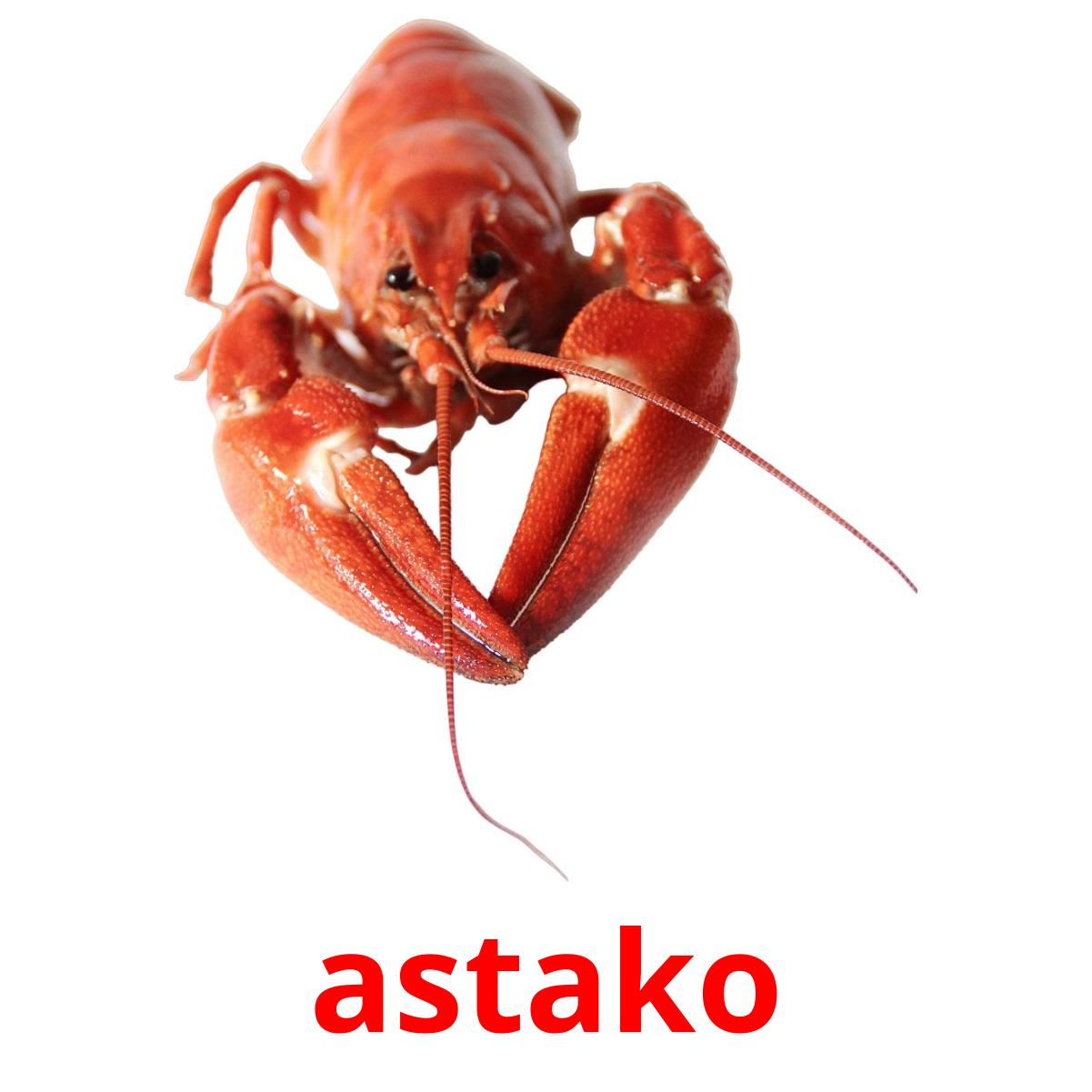 astako picture flashcards