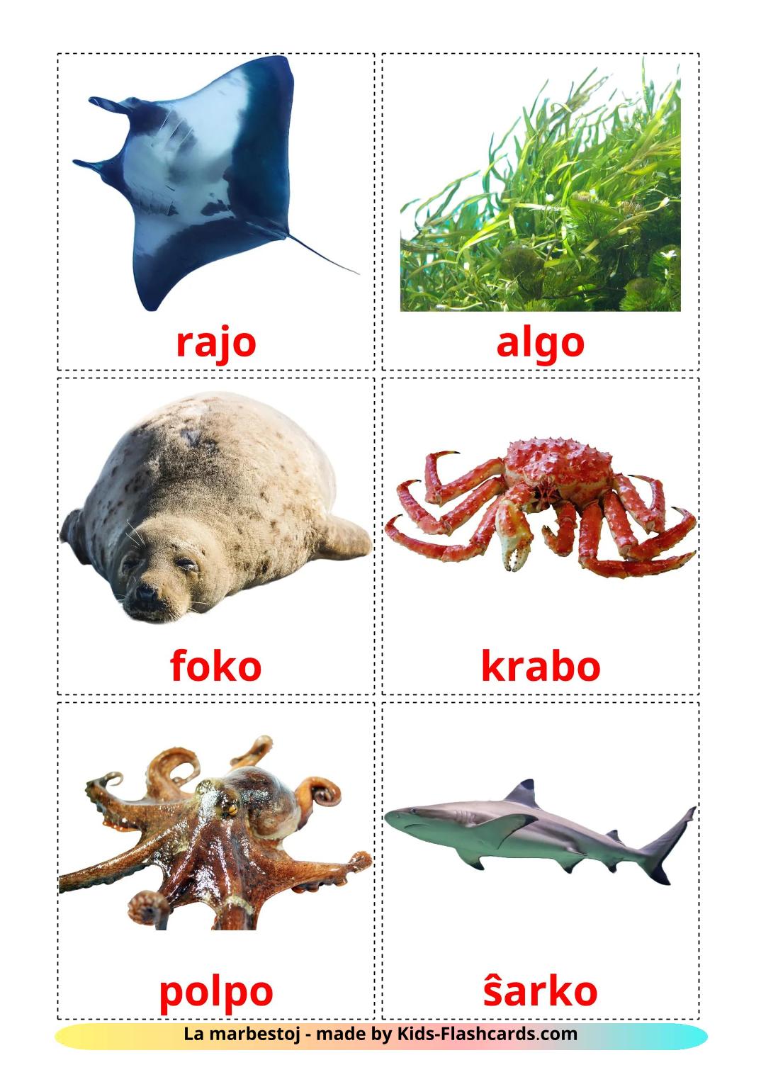 Sea animals - 30 Free Printable esperanto Flashcards