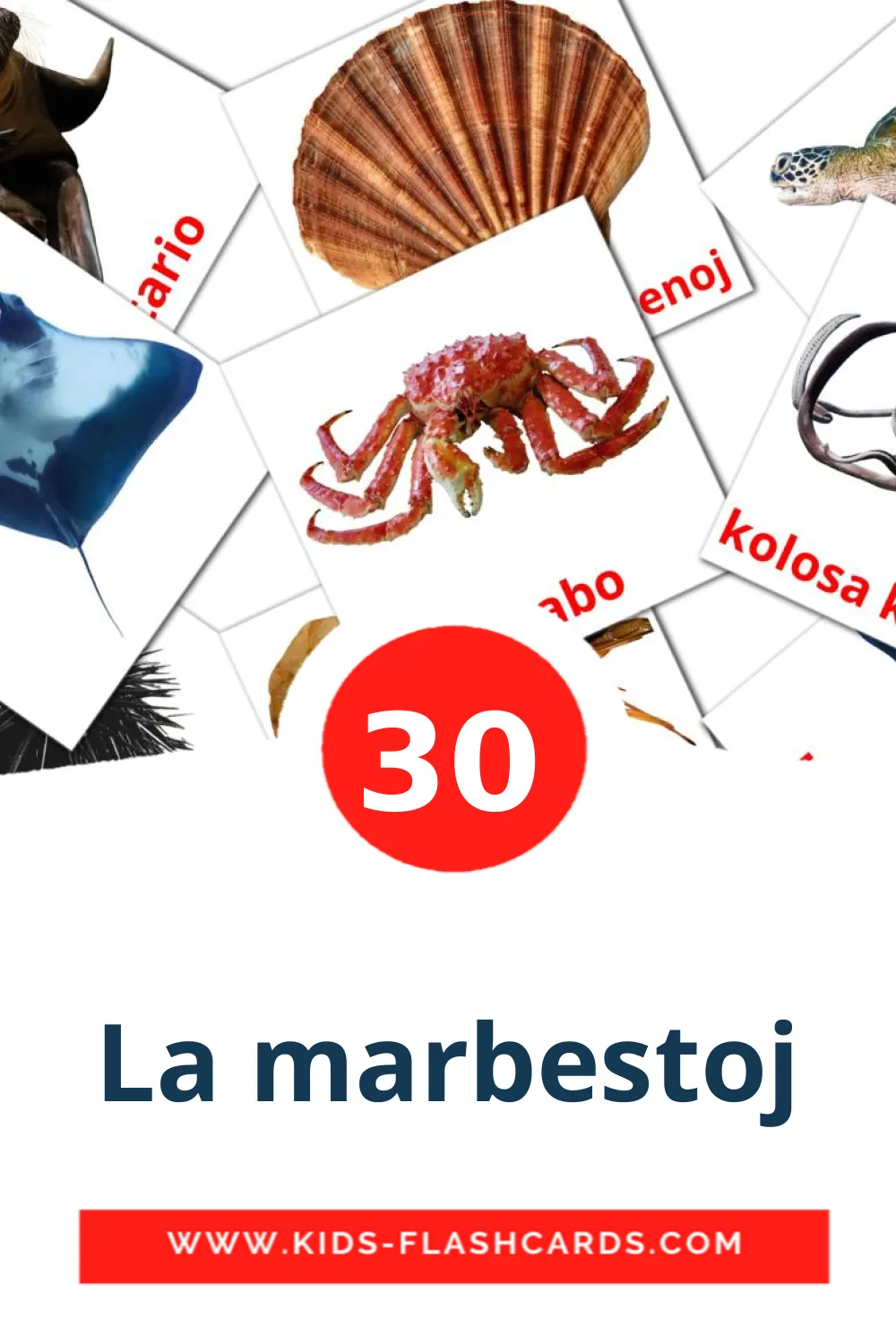 30 La marbestoj Picture Cards for Kindergarden in esperanto