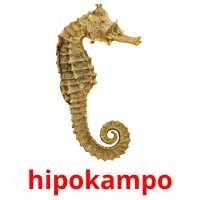 hipokampo picture flashcards