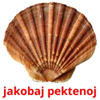jakobaj pektenoj picture flashcards