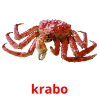 krabo picture flashcards