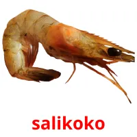salikoko picture flashcards