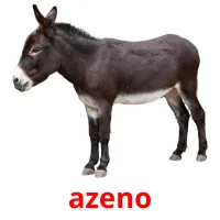azeno picture flashcards