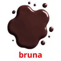 bruna picture flashcards