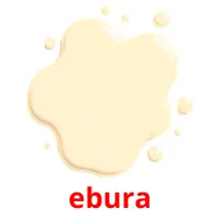 ebura picture flashcards