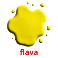 flava picture flashcards
