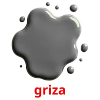 griza picture flashcards
