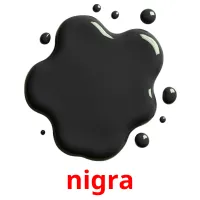 nigra picture flashcards