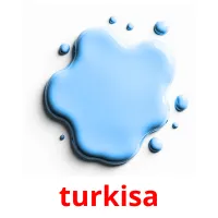 turkisa picture flashcards