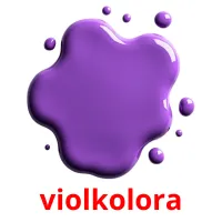 violkolora picture flashcards