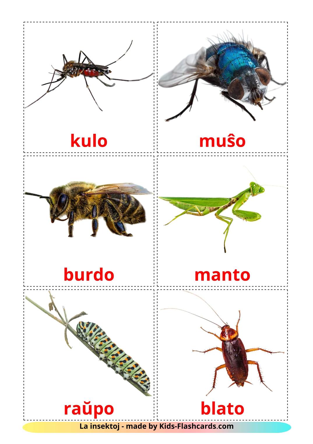 Insects - 24 Free Printable esperanto Flashcards