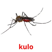 kulo picture flashcards