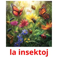 la insektoj picture flashcards