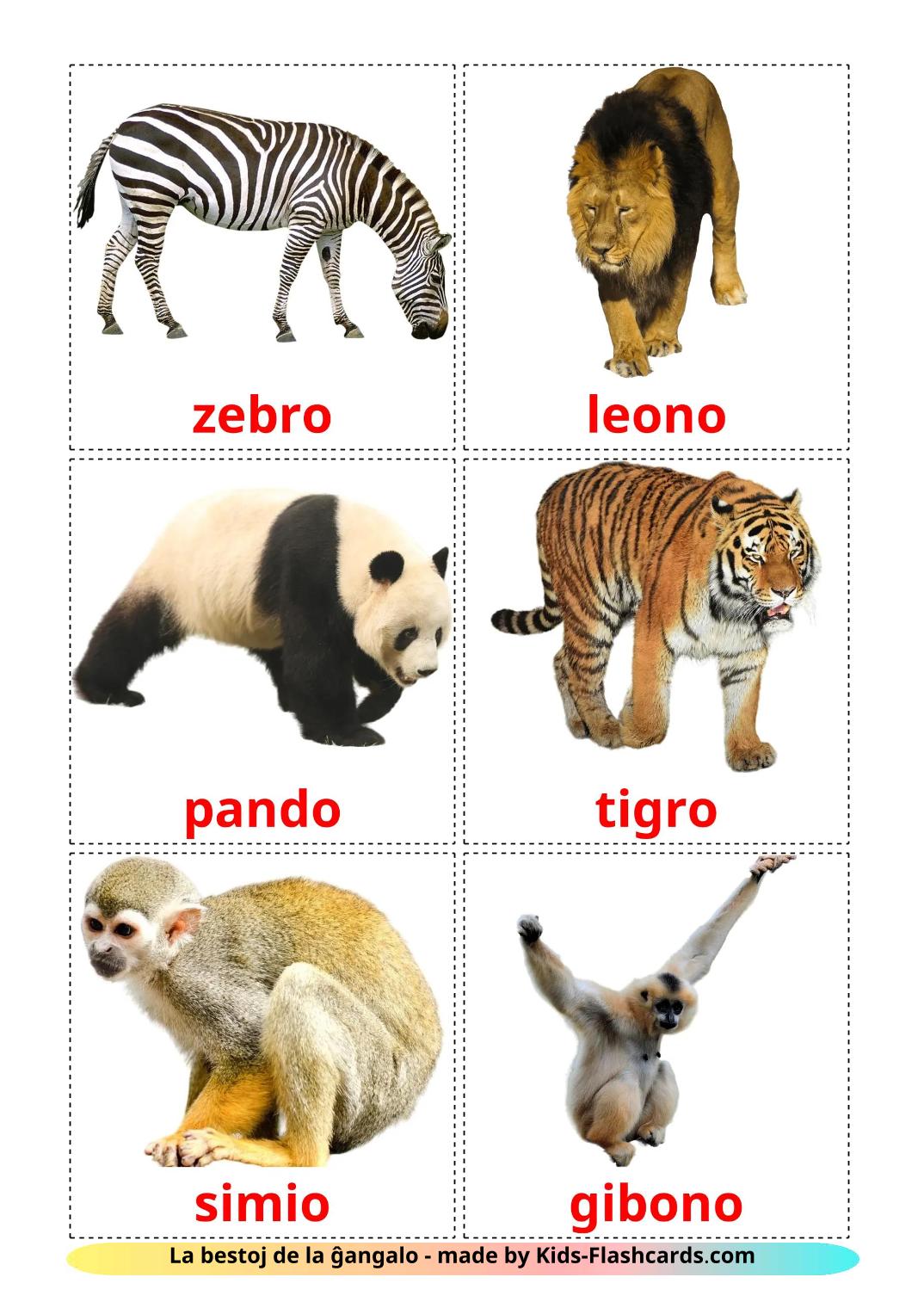 Jungle animals - 22 Free Printable esperanto Flashcards