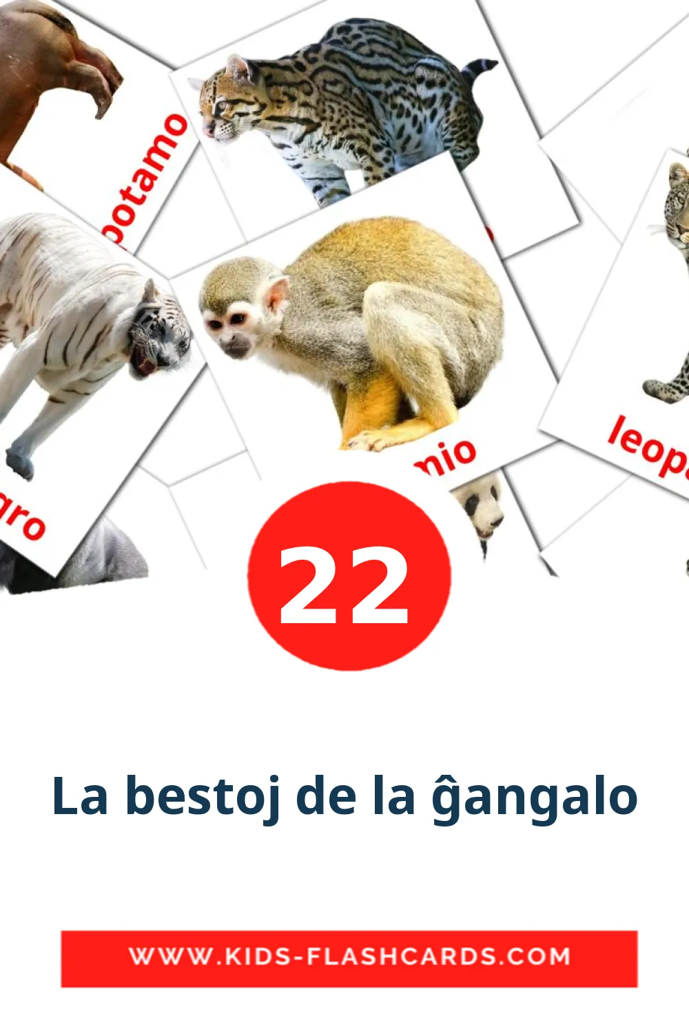 22 La bestoj de la ĝangalo Picture Cards for Kindergarden in esperanto