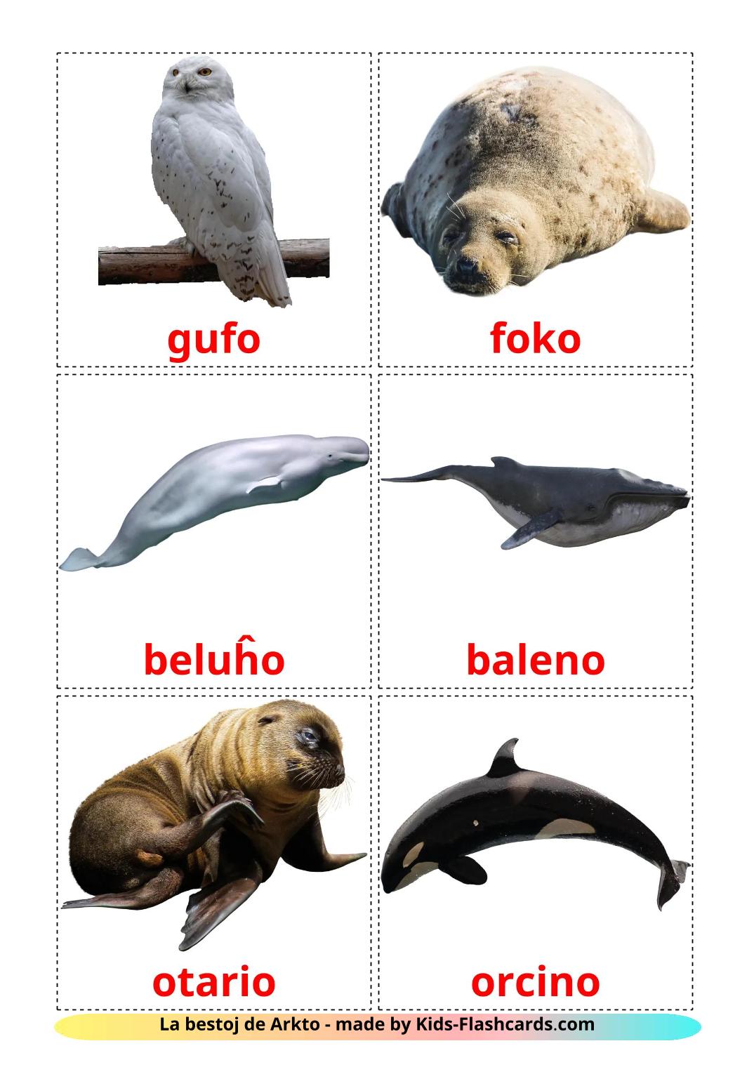 Arctic animals - 15 Free Printable esperanto Flashcards