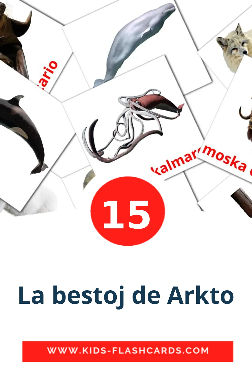 15 La bestoj de Arkto Picture Cards for Kindergarden in esperanto