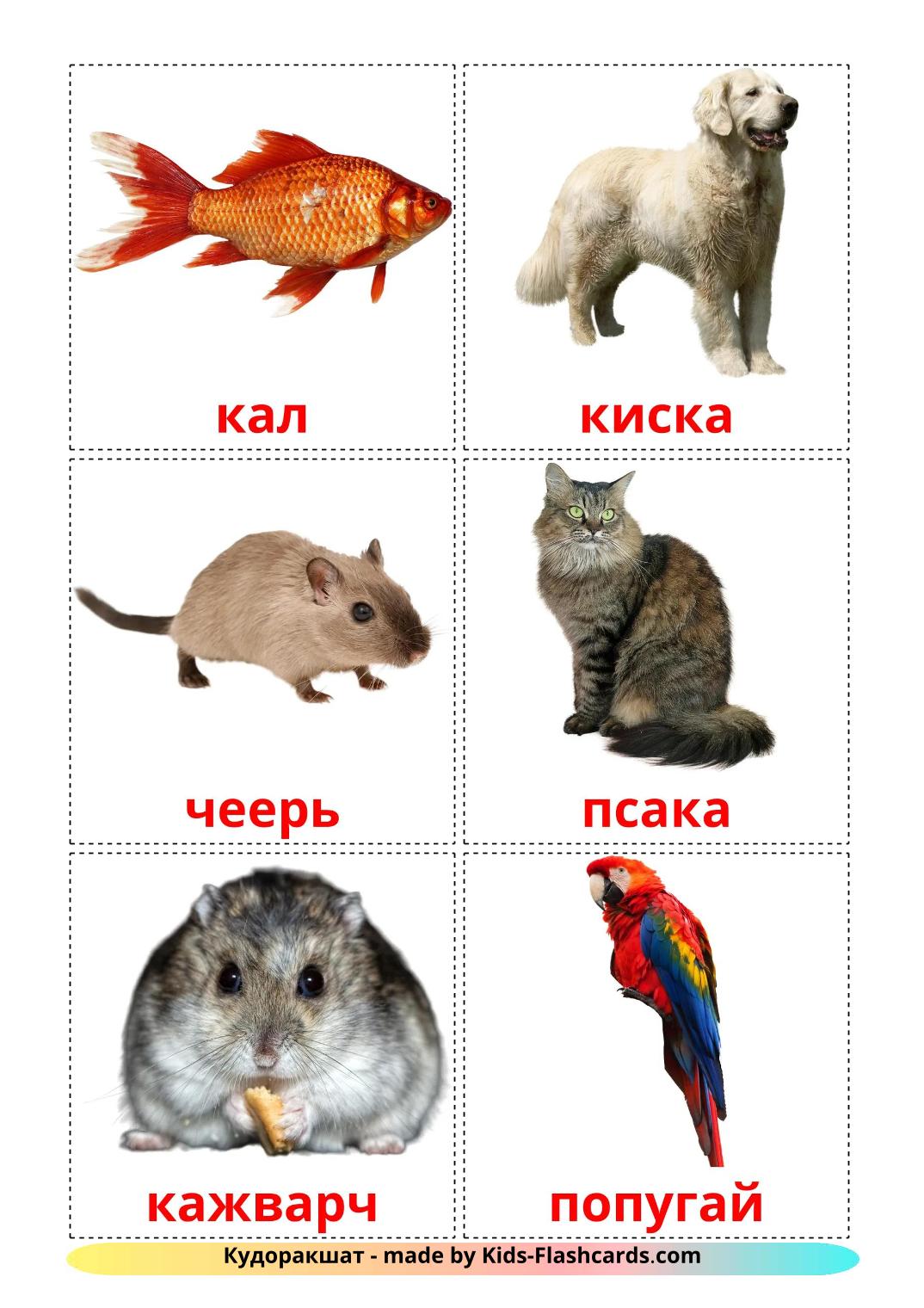 Domestic animals - 11 Free Printable erzya Flashcards 