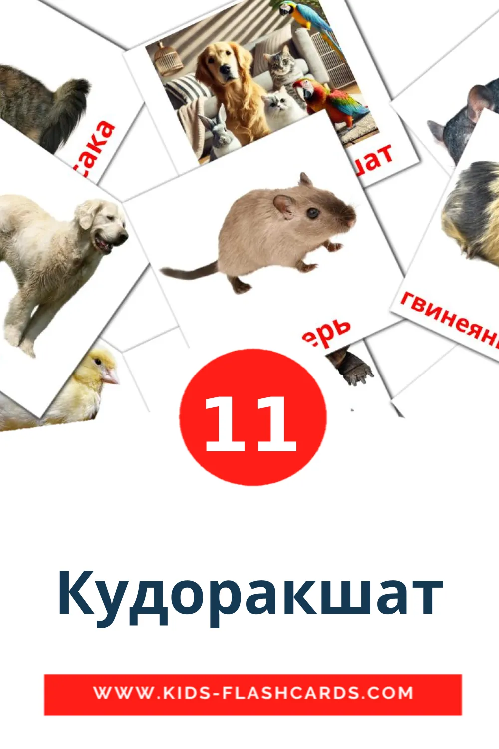 11 Кудоракшат Picture Cards for Kindergarden in erzya