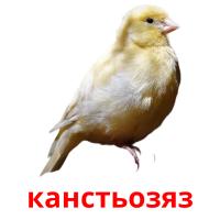 канстьозяз card for translate