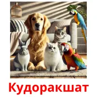 Кудоракшат picture flashcards