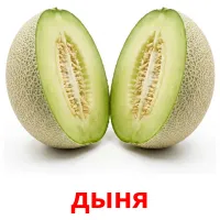 дыня flashcards illustrate