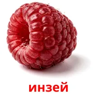 инзей flashcards illustrate