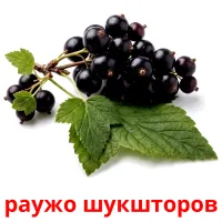 раужо шукшторов flashcards illustrate