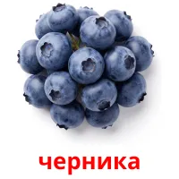 черника flashcards illustrate