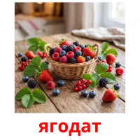 ягодат flashcards illustrate