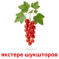 якстере шукшторов flashcards illustrate