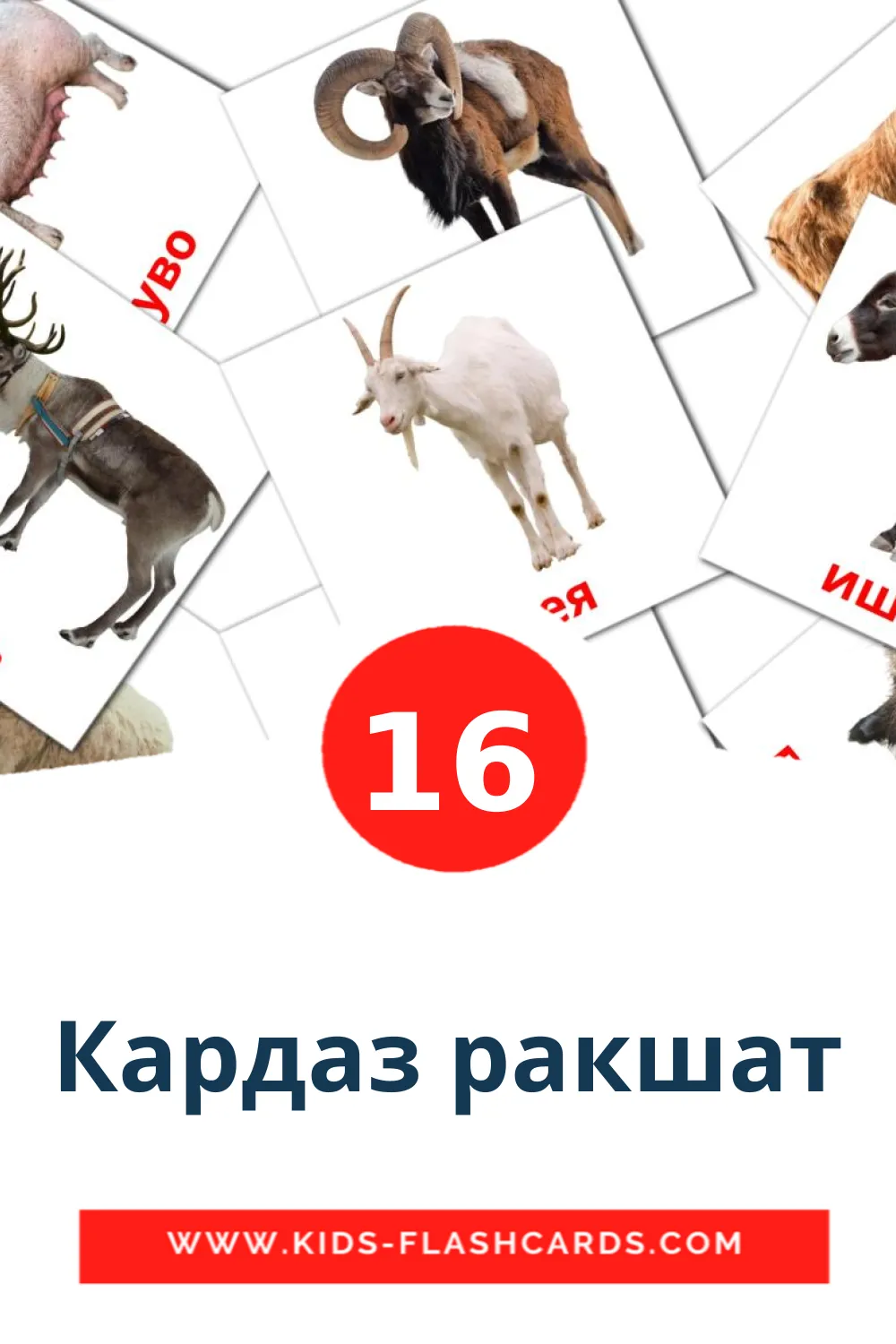 16 Кардаз ракшат Picture Cards for Kindergarden in erzya